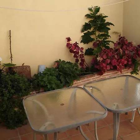 Mit Terrasse بيت للعطل
